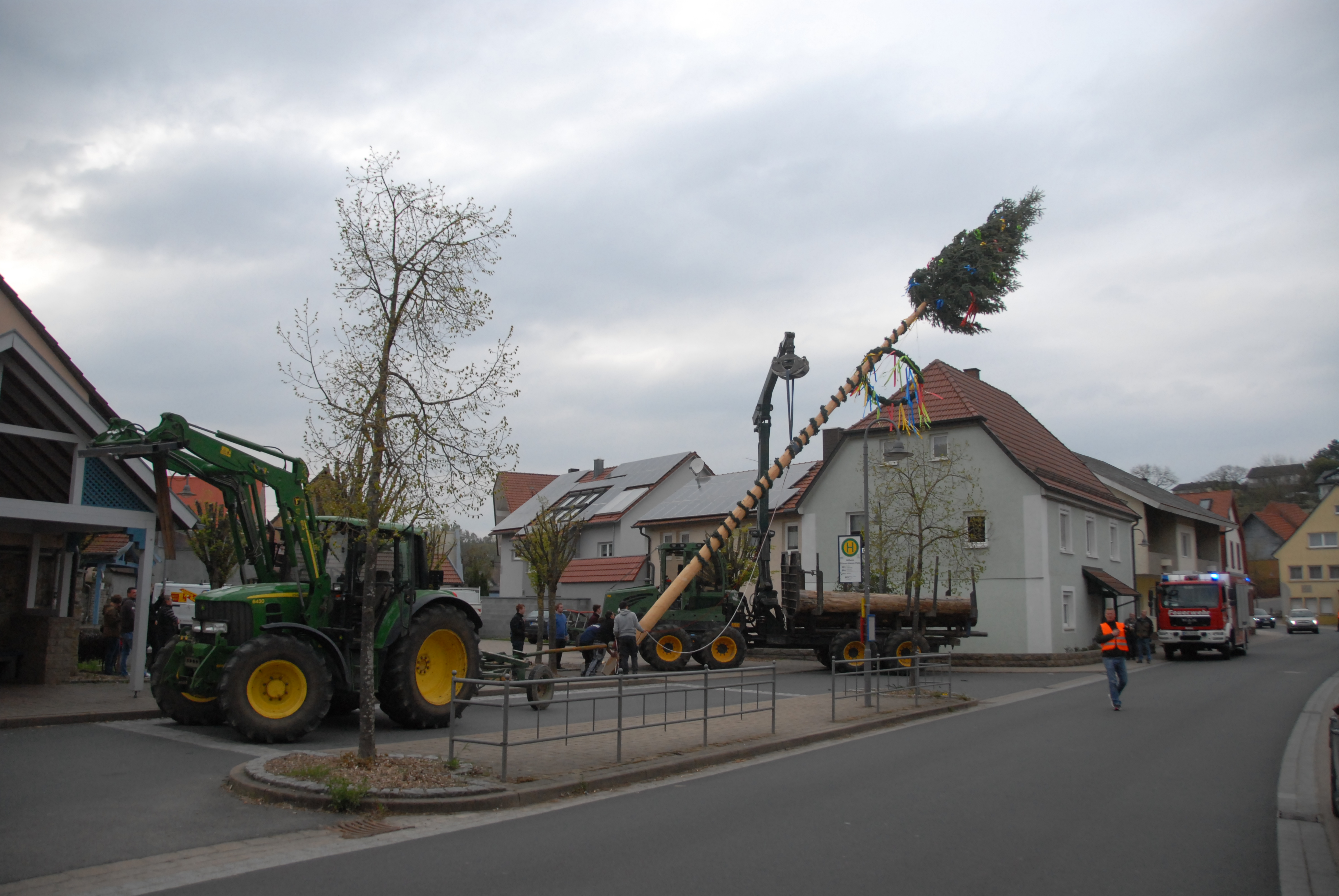 Maibaum 1