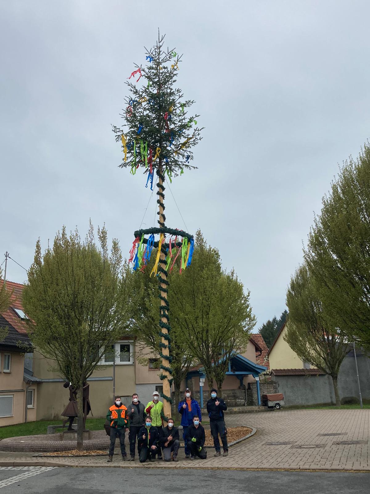 Maibaum 2020